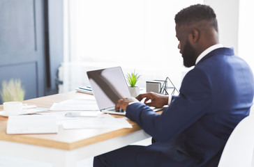 Back view of young businessman working with laptop in office