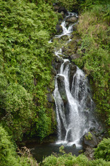 Fototapeta na wymiar Waterfall surrounded by dense rainforest - Big Island Hawaii