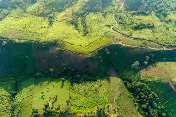 Aerial top down mountain Texture of nature forest scenery view Beautiful light sunrise over mountain