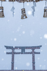 雪中の鳥居は、とても厳かだよね。