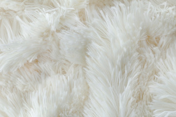 White soft wool background. Texture fluffy fur. Flat lay, top view.