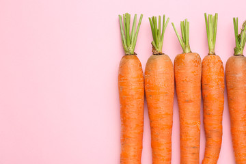 Fresh carrots on color background