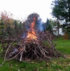 Daytime Bonfire Burning