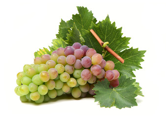 Grapes on white background 