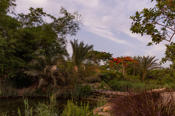 Obraz na płótnie Canvas View of Al - Azhar Park
