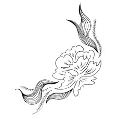 Engraved hand drawn abstract orchid. Retro flowers hand outline orchid, great design for any purposes. Outline vector. Nature background. Tropical plant. Floral design. Abstract art background