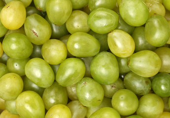 Grapes background 
