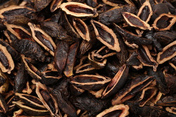 Betel nut background