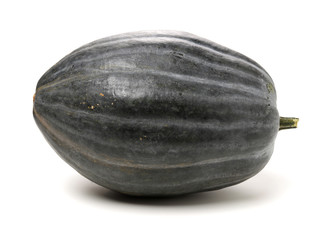 butternut squash on white background