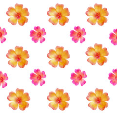 Fototapeta na wymiar abstract flower white background with colorful flowers
