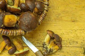 Mushrooms from the forest lie on an old wooden board and a knife