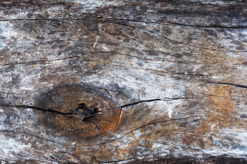 pattern and art of decay wood surface