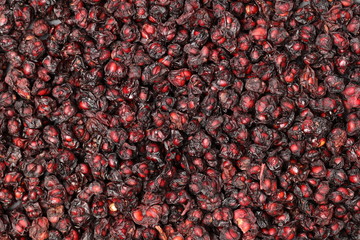 Schisandra on white background