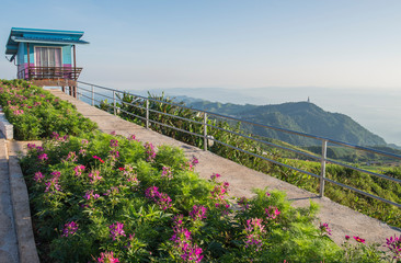 landcape view on mountain morning