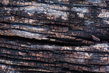 pattern and art of decay wood surface