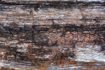pattern and art of decay wood surface