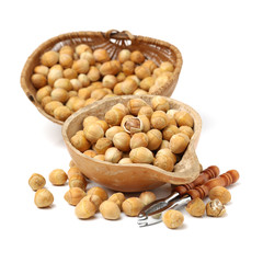 Hazelnuts on white background 