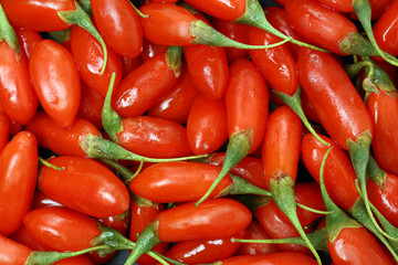 Goji berry background