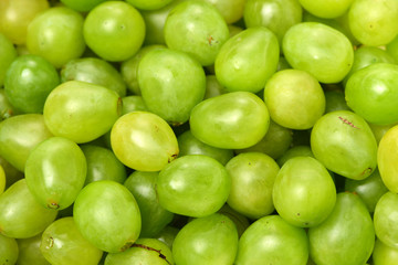 Grapes background 