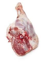 Raw lamb leg on white background