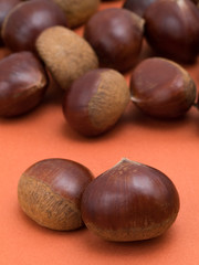 生の栗
