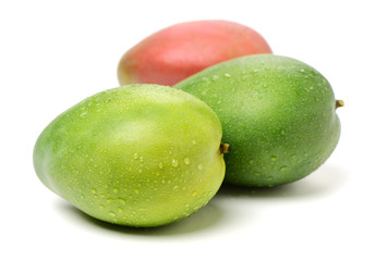 mangos on white background 