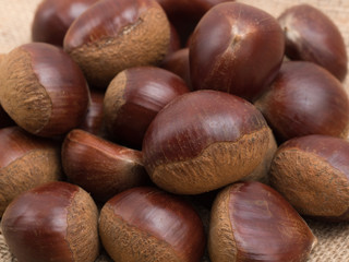 生の栗