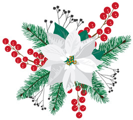 Vector White Poinsettia