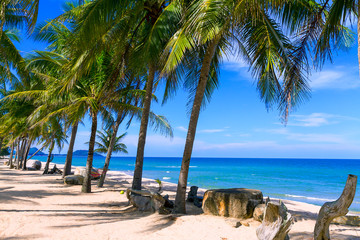 Beach Ban Krut Beach idyllic with coconut and blue sea