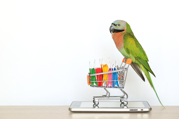 Shopping online,Parrot on model miniature shopping cart and shopping bag on tablet smart device