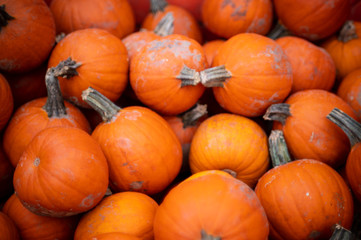 A bin of pumpkins background