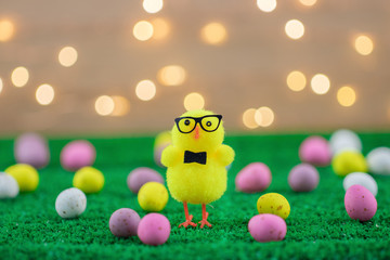 Easter Chicken Wearing Glasses And A Bow Tie In A Holiday Studio Background With Chocolate Eggs And Fairy Lights