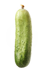 overripe cucumber on white background