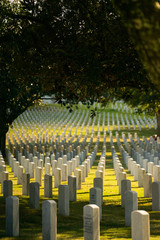 National American Cemetery with white graves 