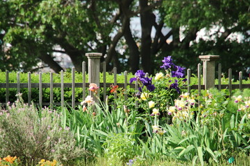 Fototapeta na wymiar 庭の柵と花々
