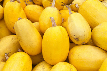Close up on pile of spaghetti squash freshly picked from the field.This oval yellow squash contains a surprise: a stringy flesh that, when cooked, separates into mild-tasting, spaghetti-like strands.
