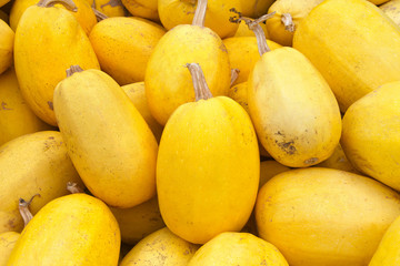 Close up on pile of spaghetti squash freshly picked from the field.This oval yellow squash contains...