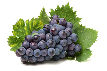 Grapes on a white background 