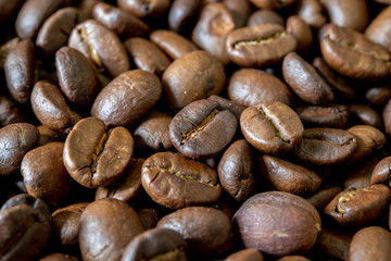 close up of roasted coffee beans