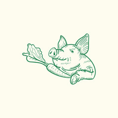 pig and carrot hand drawn vector - and illustration pig and carrot vintage style 