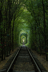 Fototapeta premium The Tunnel of Love at Klevan, Ukraine