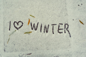 top view of various fallen yellow leaves, the first snow on a cold autumn day, words on the snow