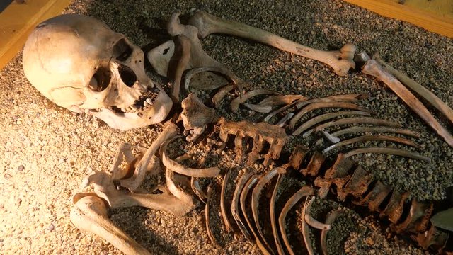 The human skull lies on small stones.