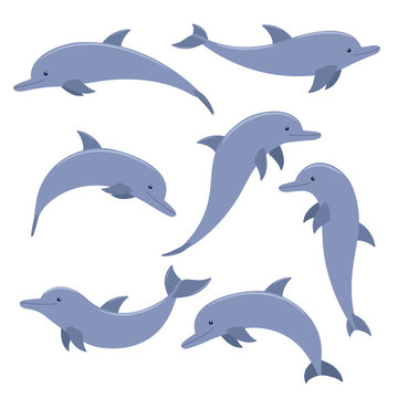 Dolphin,  collection of vector sea animals