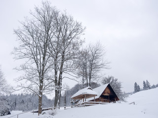 Fototapeta na wymiar Seasonal shepherd shelter. Pieniny Mountains, Poland.