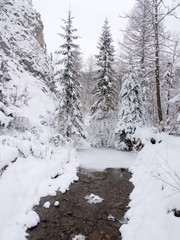 Mountain stream in winter