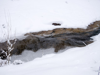 Mountain stream in winter