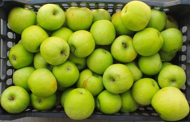 green apples in a box