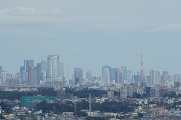 Fototapeta na wymiar A distant view of Tokyo