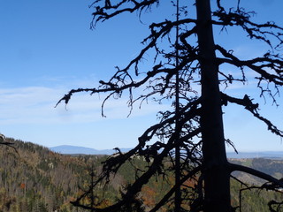  Tatrzański Park Narodowy - szlak Ścieżka nad Reglami